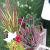 Landesgartenschau 2017